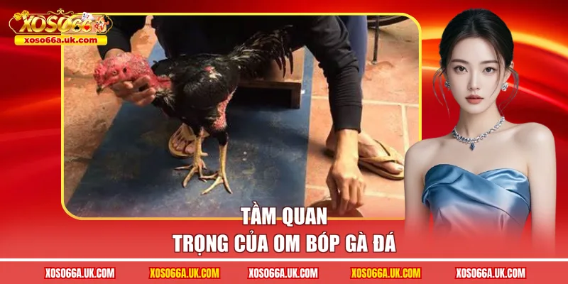 Tầm quan trọng của om bóp gà đá