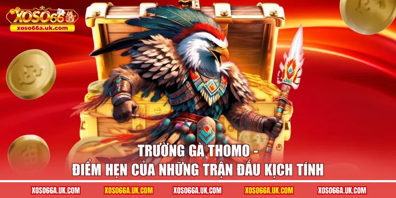 trường gà thomo