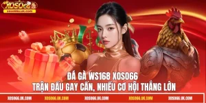 Đá Gà WS168 XOSO66 - Trận Đấu Gay Cấn, Nhiều Cơ Hội Thắng Lớn